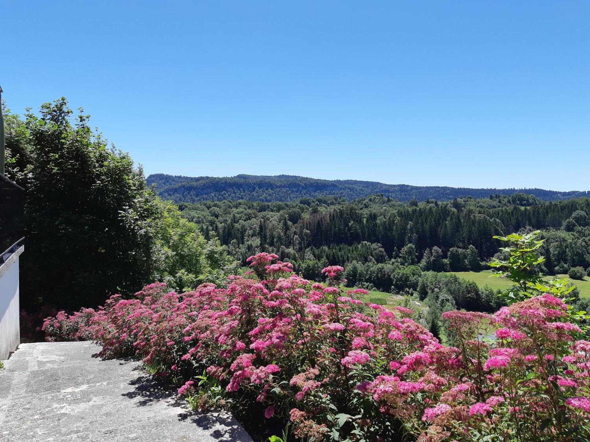 Les Alpages Hotel Bonlieu Luaran gambar